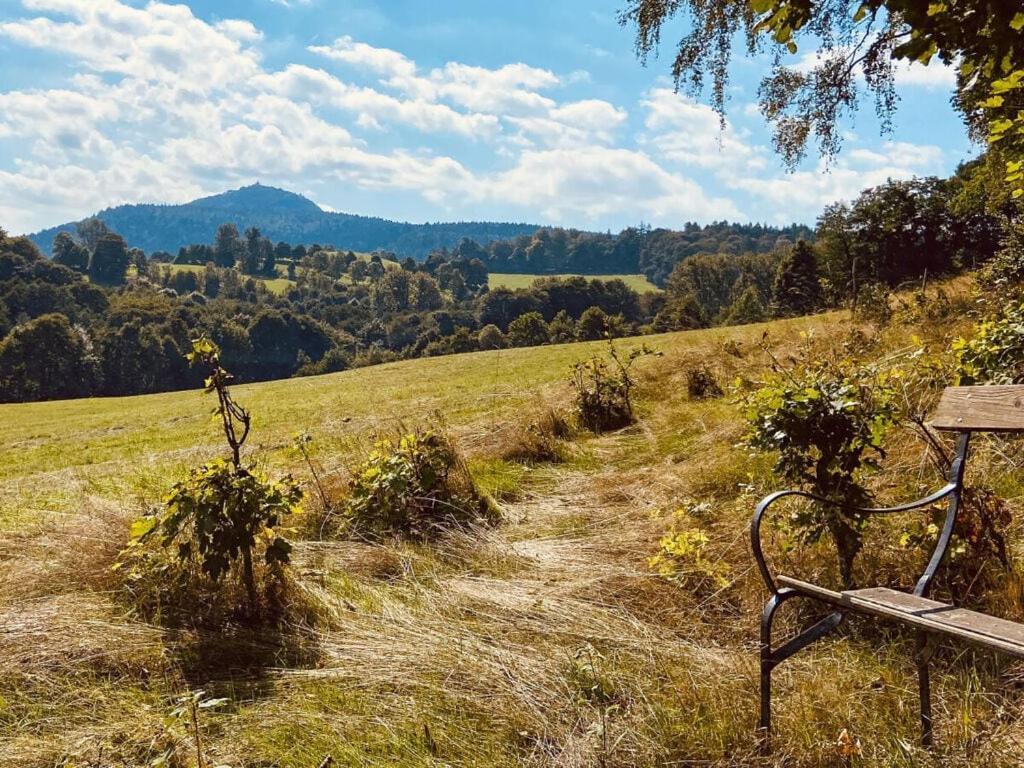 Holiday Home Wiesenhaeusel Großschönau Buitenkant foto